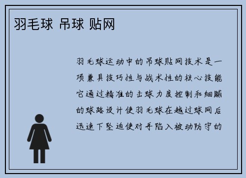 羽毛球 吊球 贴网