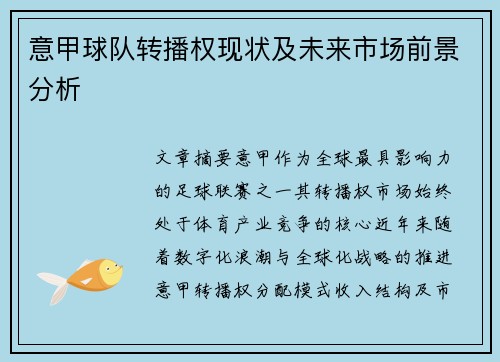 意甲球队转播权现状及未来市场前景分析